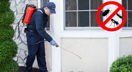 Gaziosmanpaşa Akrep İlaçlama böcek ilaçlama ve haşere kontrolü — ilaclama-tr.com